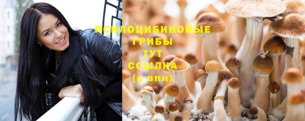 стафф Абдулино