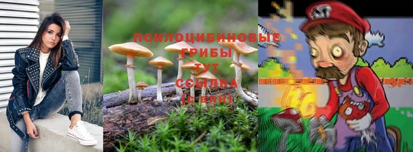 стафф Абдулино