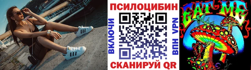 цена наркотик Сухой Лог это наркотические препараты Галлюциногенные грибы Magic Shrooms